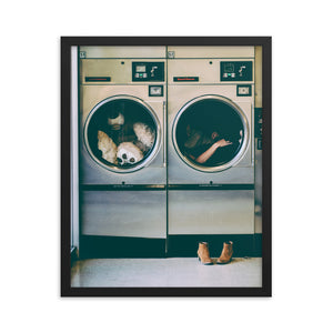 Spin Cycle (Framed Print)