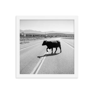 Drunk Cow (Framed Print)